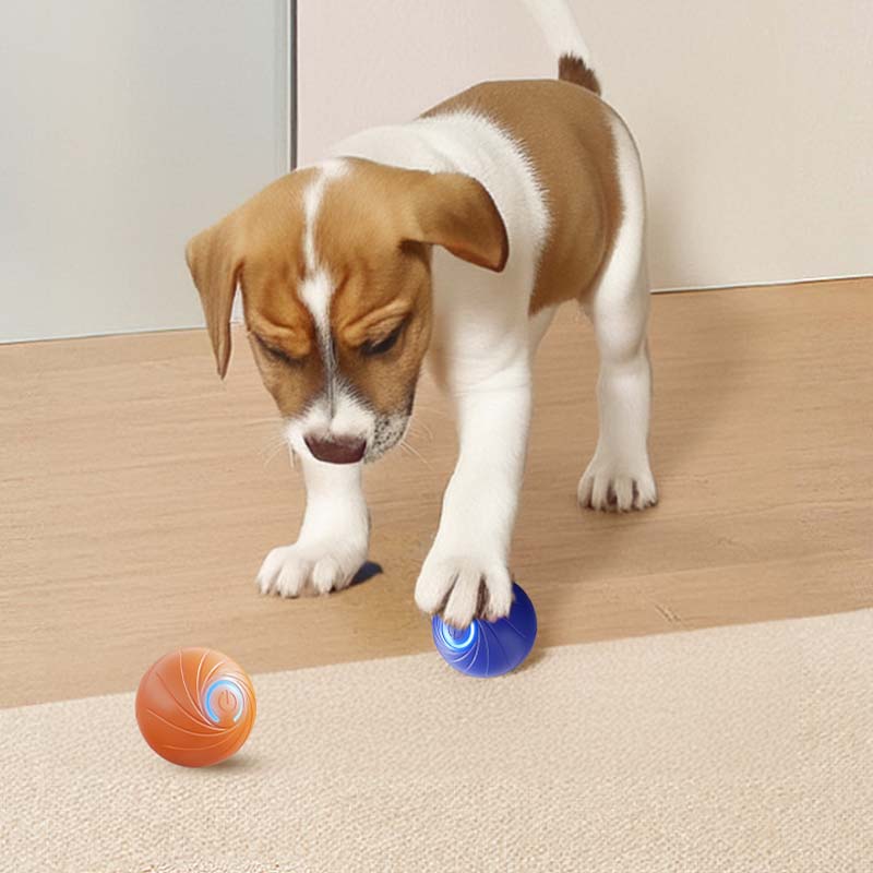 🎅Xmas Hot Sales  🔥Rechargeable Pet Interactive Motion Ball with Lights