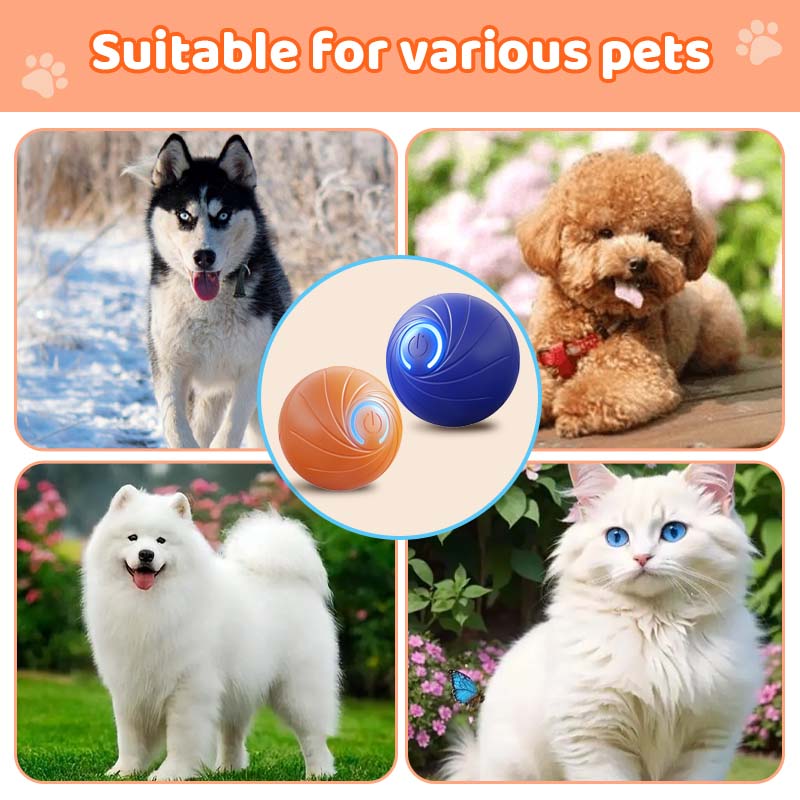 🎅Xmas Hot Sales  🔥Rechargeable Pet Interactive Motion Ball with Lights