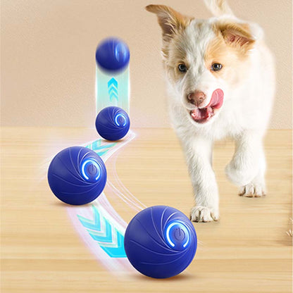 🎅Xmas Hot Sales  🔥Rechargeable Pet Interactive Motion Ball with Lights