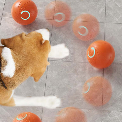 🎅Xmas Hot Sales  🔥Rechargeable Pet Interactive Motion Ball with Lights